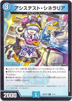 画像1: アシステスト・シネラリア