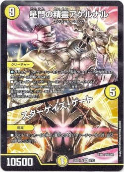 画像1: 星門の精霊アケルナル / スターゲイズ・ゲート