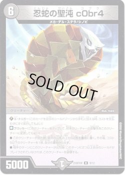 画像1: ※傷有り品（返品交換対象外）忍蛇の聖沌 c0br4