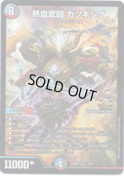画像1: 熱血武闘 カツキング