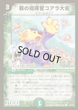 画像1: ※傷有り品（返品交換対象外）森の指揮官コアラ大佐