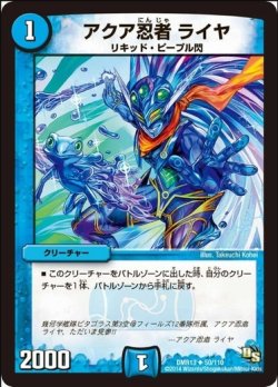 画像1: ※傷有り品（返品交換対象外）アクア忍者 ライヤ