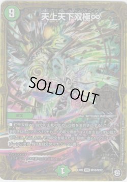 画像1: 天上天下双極∞