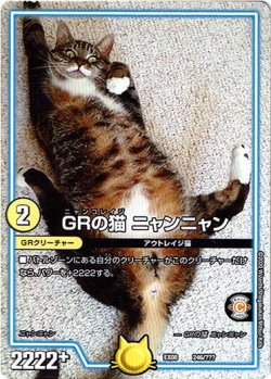 画像1: GRの猫 ニャンニャン