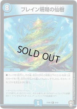画像1: ブレイン珊瑚の仙樹