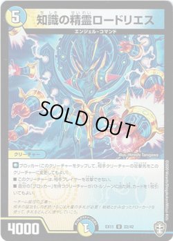 画像1: 知識の精霊ロードリエス