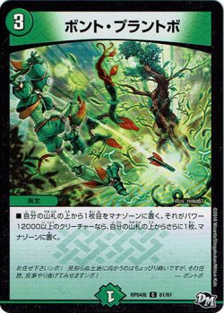 画像1: ※傷有り品（返品交換対象外）ボント・プラントボ