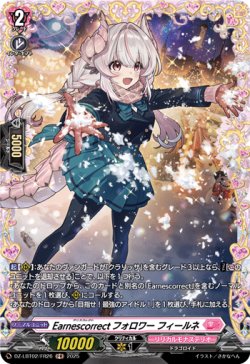 画像1: 【FR】Earnescorrectフォロワー フィールネ