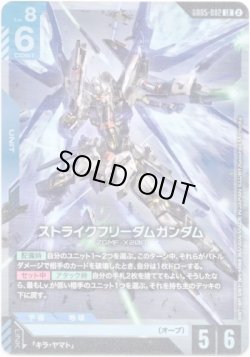 画像1: ストライクフリーダムガンダム