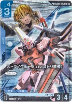 画像1: 【LK】ストライクルージュ（オオトリ装備）