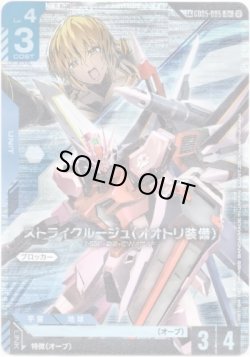 画像1: 【LK】ストライクルージュ（オオトリ装備）