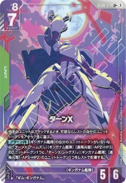画像1: 【パラレルLR+】ターンX