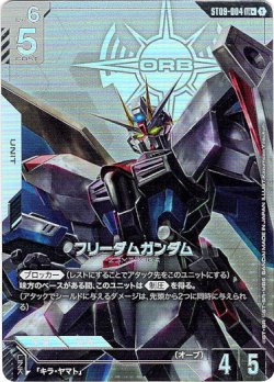 画像1: 【パラレル+】フリーダムガンダム