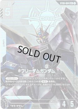 画像1: 【パラレル+】フリーダムガンダム