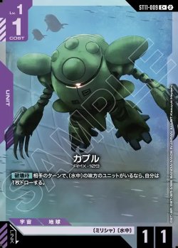 画像1: 【パラレル+】カプル