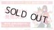 ※予約商品　※2026年1月16日発売【未開封BOX】5弾 進み続ける日常【五等分の花嫁カードゲーム】