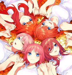 画像1: ※予約商品　10月30日発売【未開封BOX】8弾 恋と青春が最高潮！【五等分の花嫁】