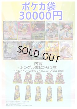 画像1: 『1』【ポケカオリパ】ポケカ袋【30000円 全10本】