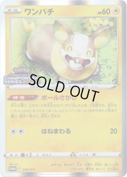 画像1: ワンパチ