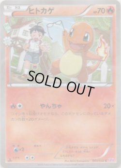 画像1: ※傷有り品（返品交換対象外）ヒトカゲ