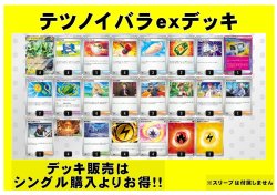 画像1: 【ポケカデッキ】テツノイバラexデッキ【スタンダード】
