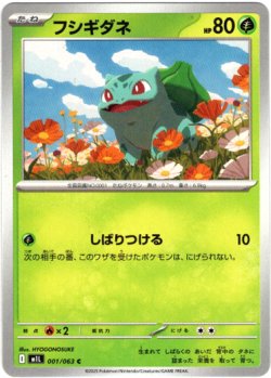画像1: フシギダネ