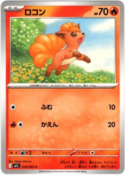 画像1: ロコン