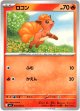 ロコン