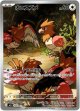 【AR】オニスズメ