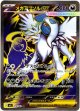 【SR】メガアブソルex