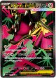 【SR】メガクチートex