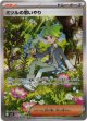 ※傷有り品（返品交換対象外）【SAR】ミツルの思いやり