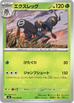 画像1: エクスレッグ