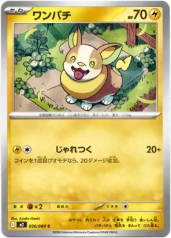 画像1: ワンパチ