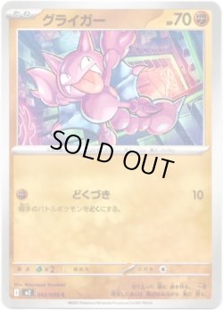 画像1: グライガー