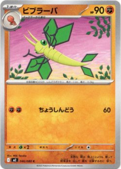 画像1: ビブラーバ