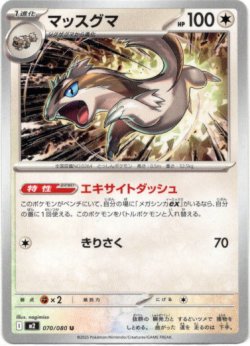 画像1: マッスグマ