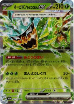 画像1: オーガポン みどりのめんex