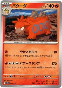 画像1: バクーダ