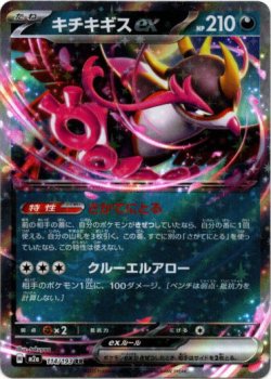 画像1: キチキギスex