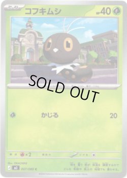 画像1: コフキムシ