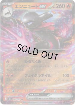 画像1: エンニュートex