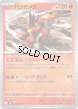 画像1: バクガメス