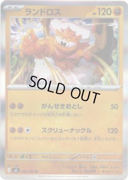 画像1: ランドロス
