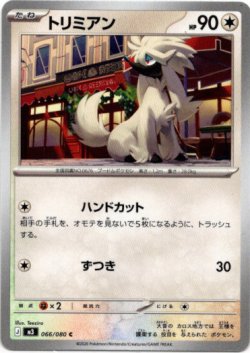 画像1: トリミアン