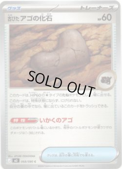 画像1: 古びたアゴの化石