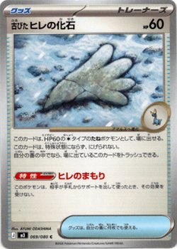 画像1: 古びたヒレの化石