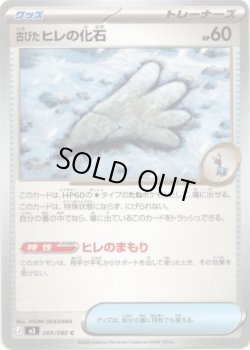 画像1: 古びたヒレの化石