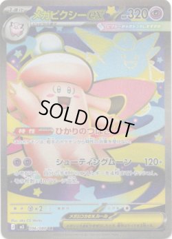 画像1: 【SR】メガピクシーex