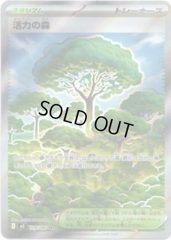 画像1: 【トレーナーズSR】活力の森